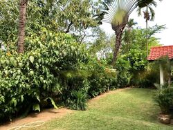 Camelia Park (D28), Semi-Detached #586749371